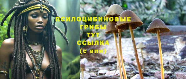 стаф Арсеньев