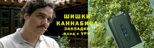 стаф Арсеньев