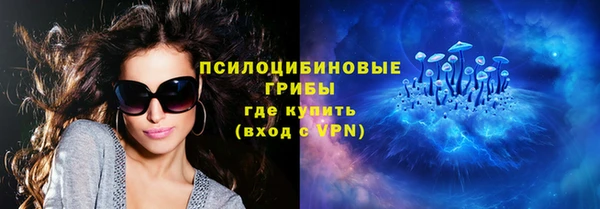 стаф Арсеньев