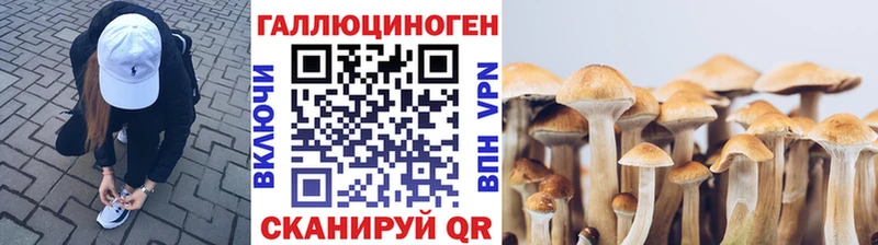 Псилоцибиновые грибы ЛСД Константиновск