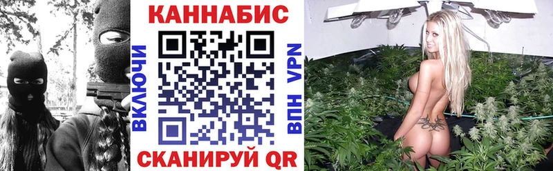 где можно купить   Константиновск  Канабис ГИДРОПОН 
